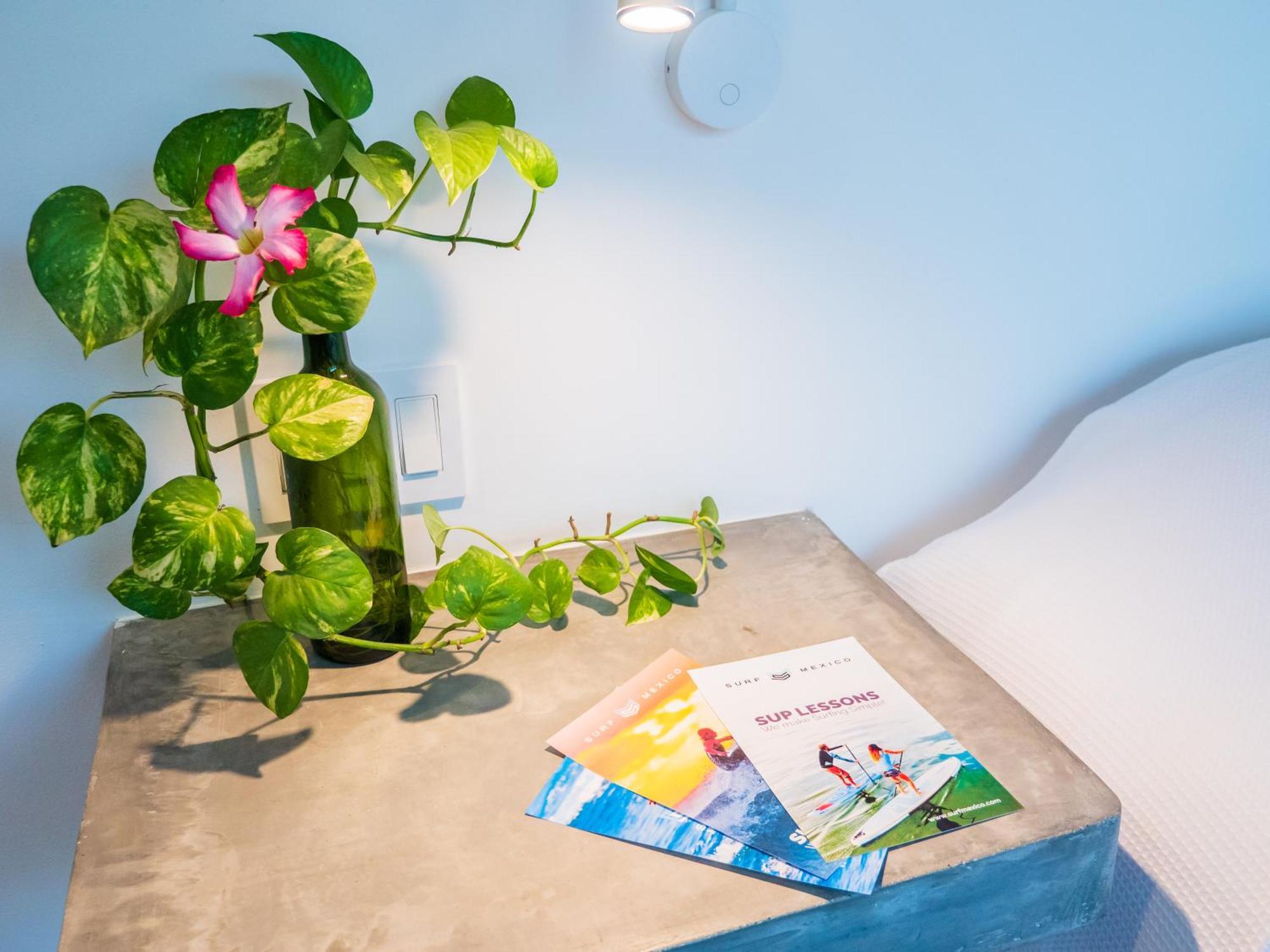Nereidas Lofts Bucerías Rom bilde